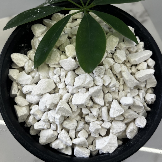 微信截图_20251124144744